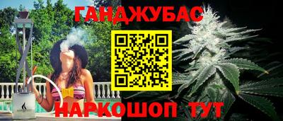 прущие грибы Ирбит
