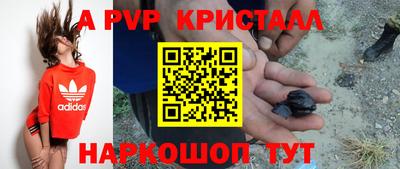 прущие грибы Ирбит