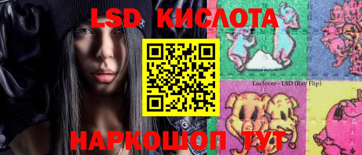 Марки 25I-NBOMe 1,8мг  Вход с VPN  Лесной 