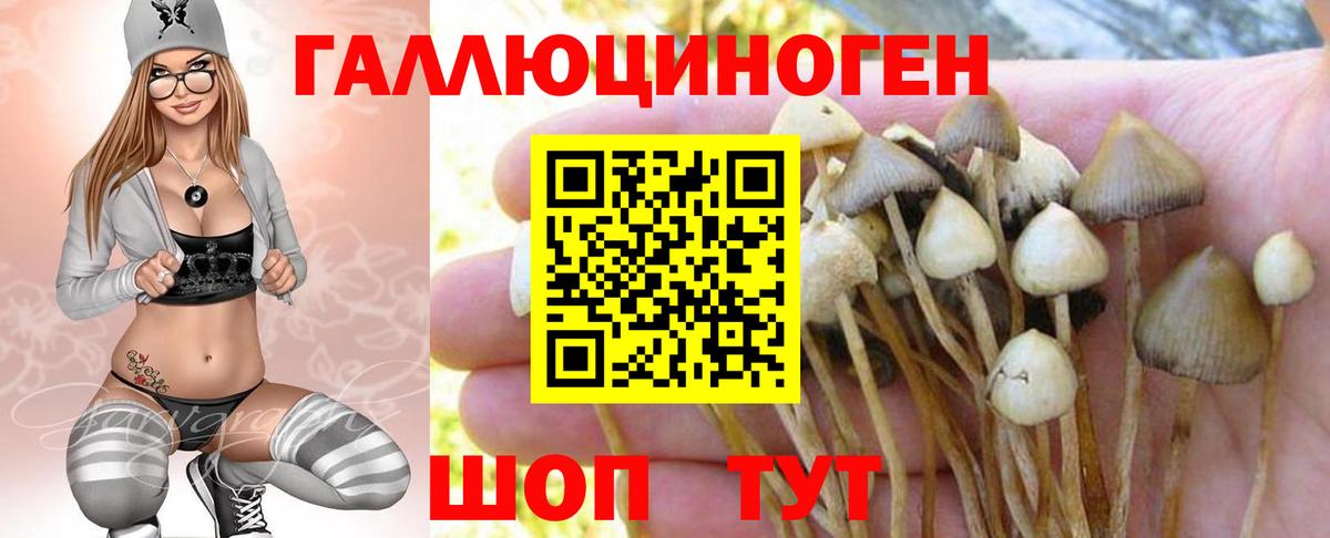 Псилоцибиновые грибы MAGIC MUSHROOMS Лесной