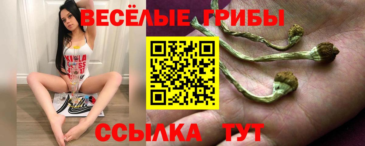 Лесной  Псилоцибиновые грибы прущие грибы  Вход с VPN 